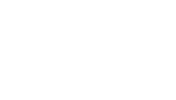 Verdal Fysikalske Institutt Logo